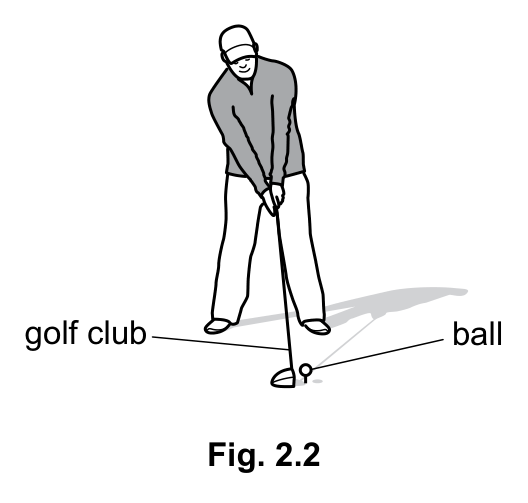 Fig. 2.2 — see the question text for what it shows